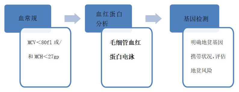 亚洲精品无码一区二区三区网雨