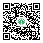 亚洲精品无码一区二区三区网雨