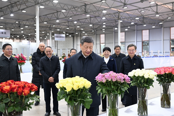 亚洲精品无码一区二区三区网雨