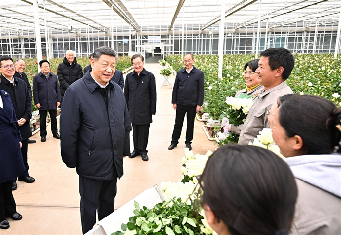 亚洲精品无码一区二区三区网雨