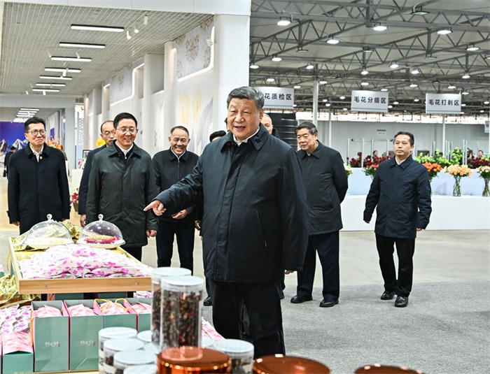 亚洲精品无码一区二区三区网雨