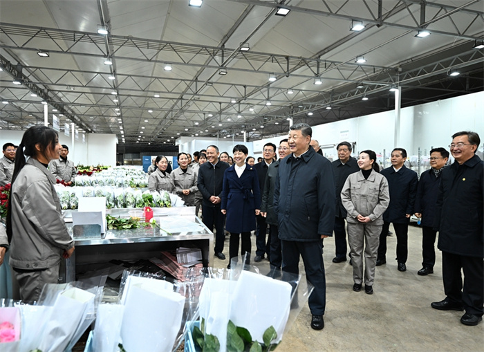 亚洲精品无码一区二区三区网雨